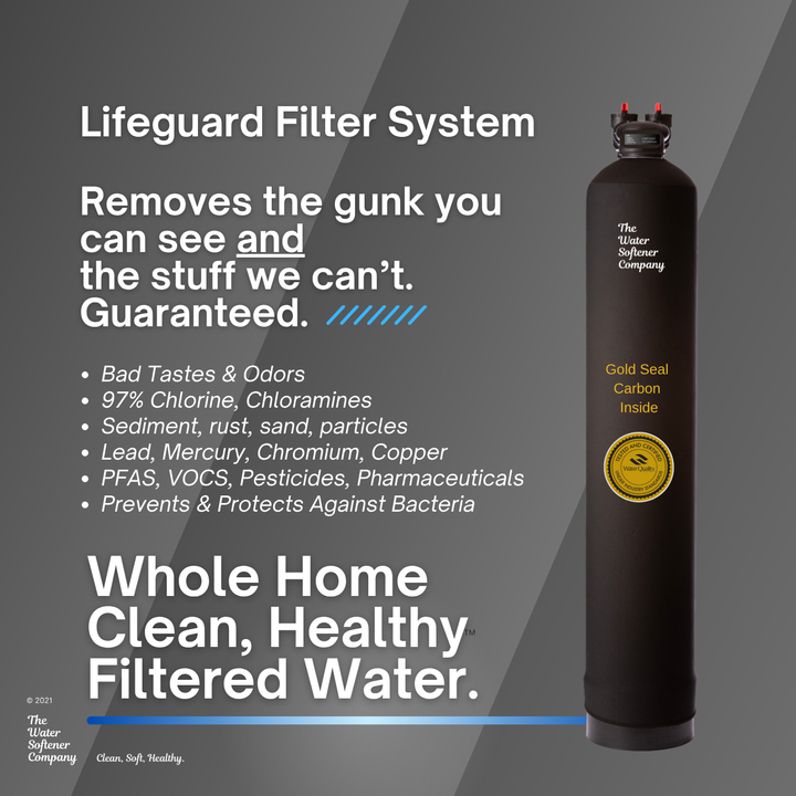 Lifeguard Filter System