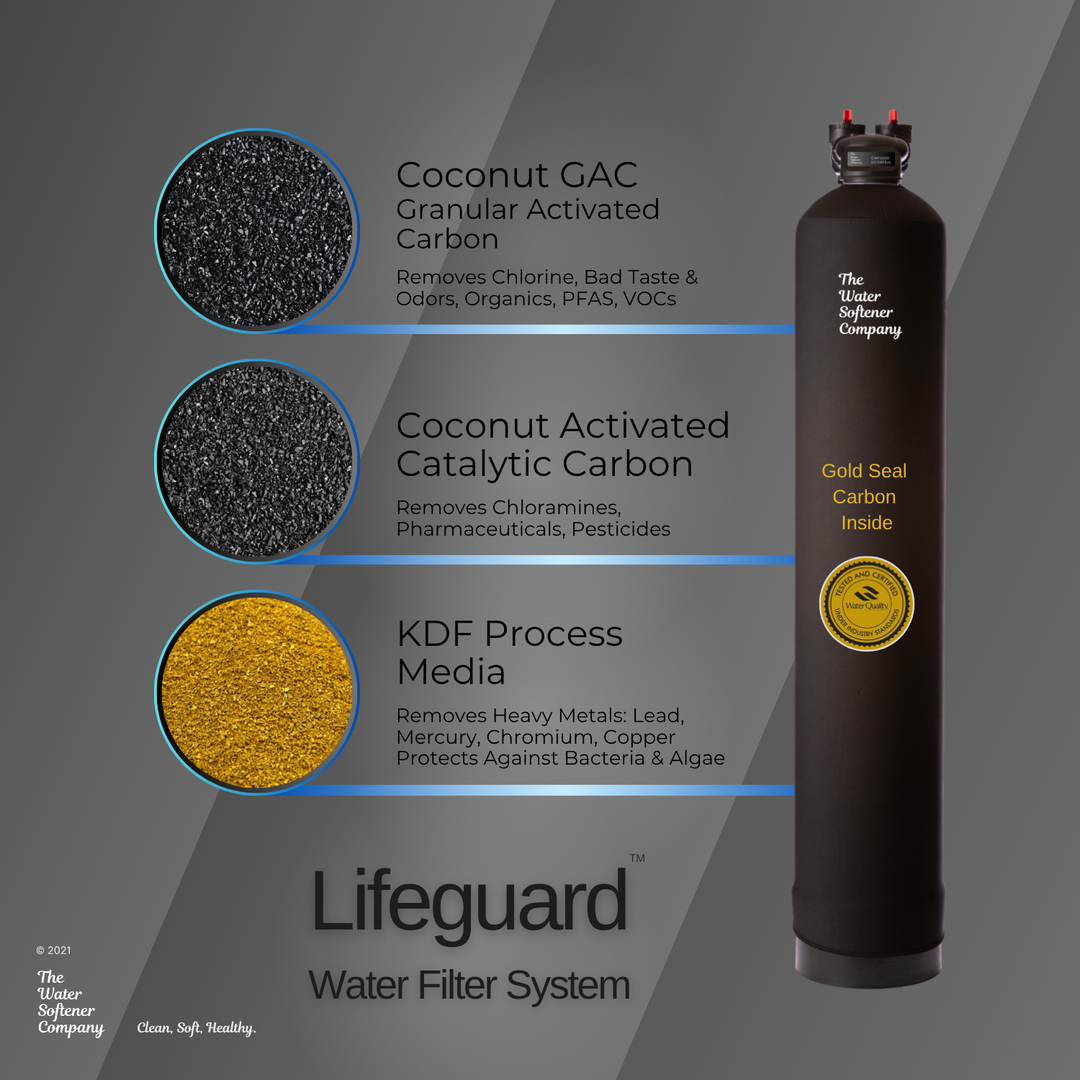 Lifeguard Filter System