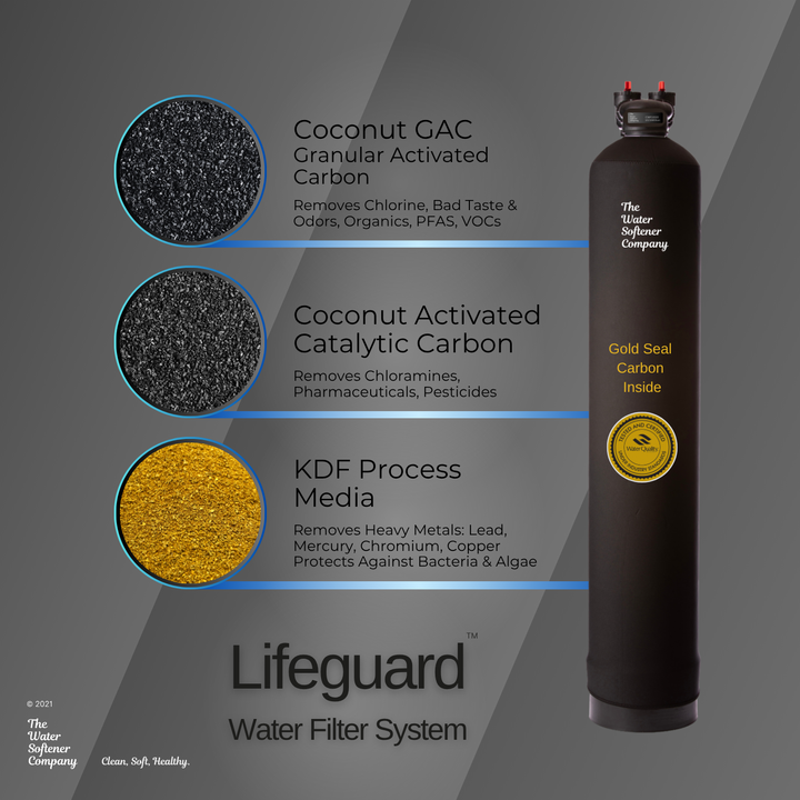 Lifeguard Filter System